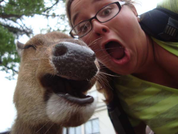 9.) Deer selfies are WILD.