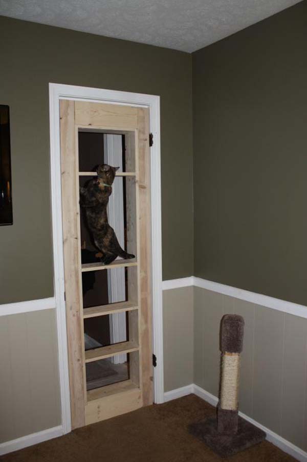 They put the door in for a test fit - looking good (and the cat was already loving it).