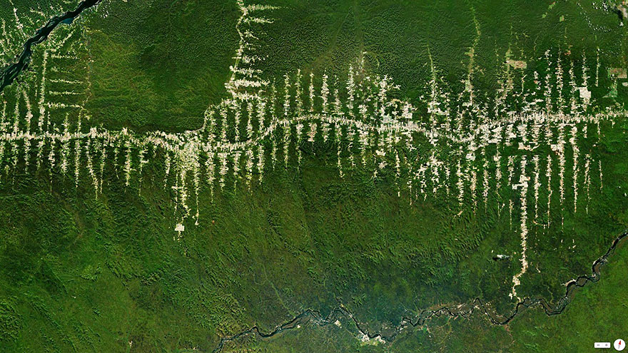 Amazon Rainfores, Para, Brazil