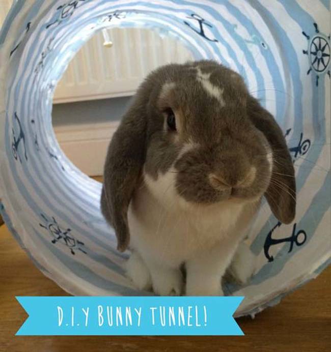 8.) Make a pop-up laundry basket <a href="https://newbunnydiaries.tumblr.com/post/89185110676/diy-rabbit-toys-the-bunny-tunnel" target="_blank">bunny tunnel</a>.