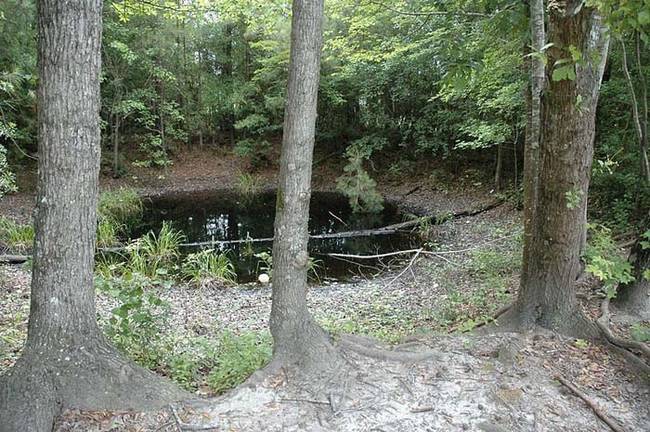 The weight of the 8,500 pound bomb forced the bay doors open. The bomb plummeted towards the woods of Mars Bluff. When the bomb landed, it left a 75-foot-wide, and 30-foot-deep crater in the forest near Gregg's house. Here is what the impact site looks like today.