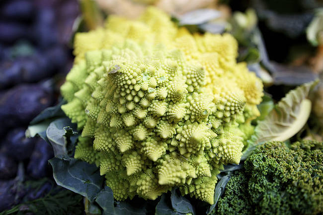 Despite its resemblance to cauliflower, Romanesque cauliflower is also sometimes referred to as Romanesco broccoli.  