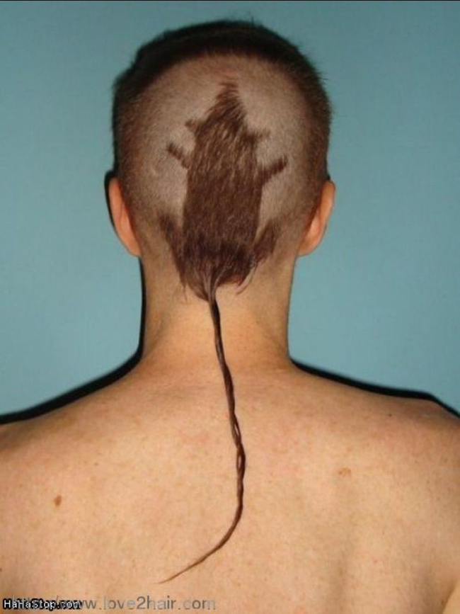 8.) Why, yes. That IS a rat tail.