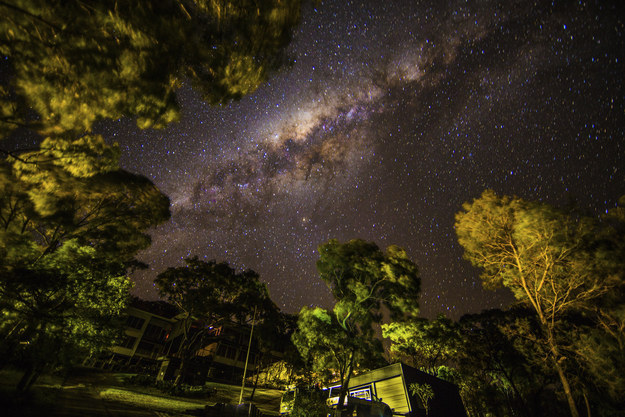 Scientists confirmed that dung beetles use the Milky Way to navigate. Scientists noticed that the beetles are able to move their dung balls in a straight line when the sky is clear, but cannot when it is overcast.