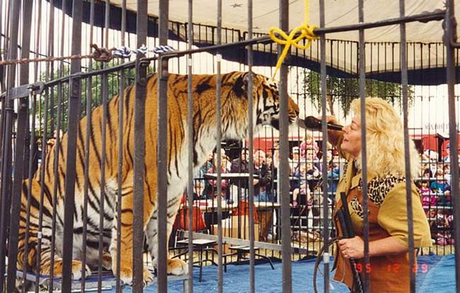 6.) Animal Trainer.