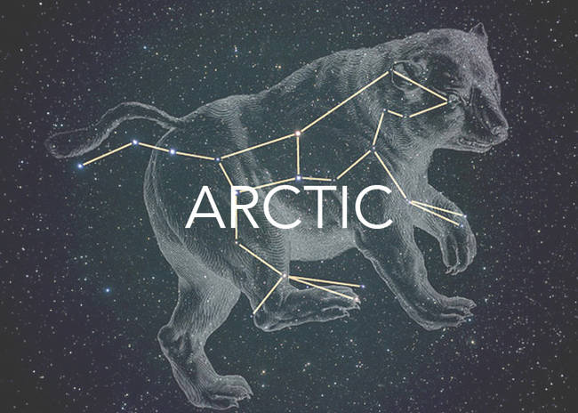 From the Greek word for bear, "arktos," after the Ursa Major constellation that is prominent in the northern sky.