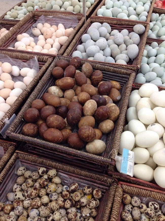 6.) An assortment of various animal eggs (good luck)
