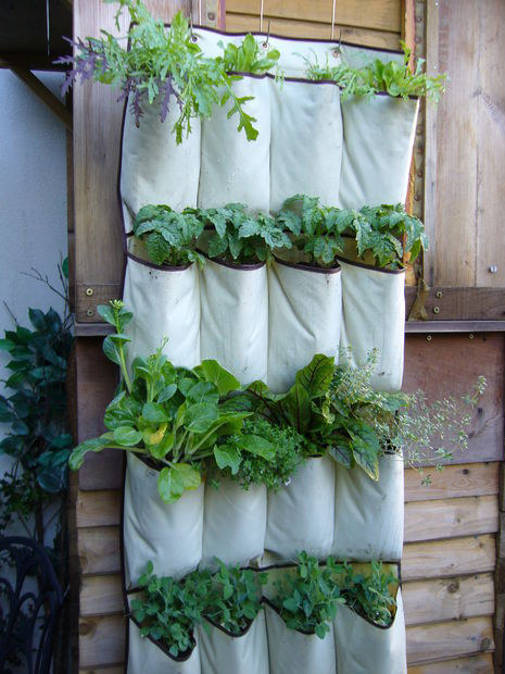 8.) You can use a shoe rack to make a hanging garden.