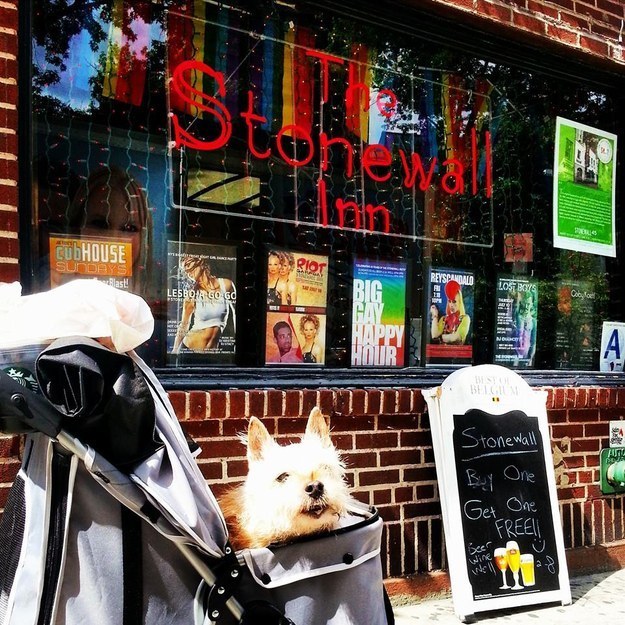 Visiting the Stonewall Inn, a gay New York City landmark.