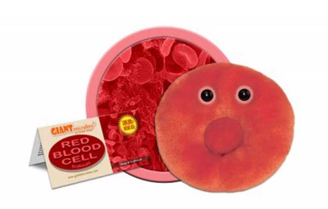 Red Blood Cell.