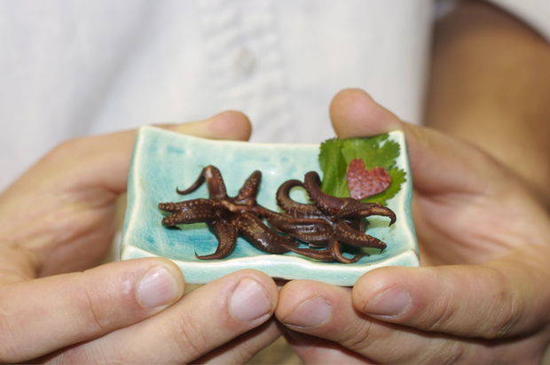 11.) Chocolate-Covered Squid