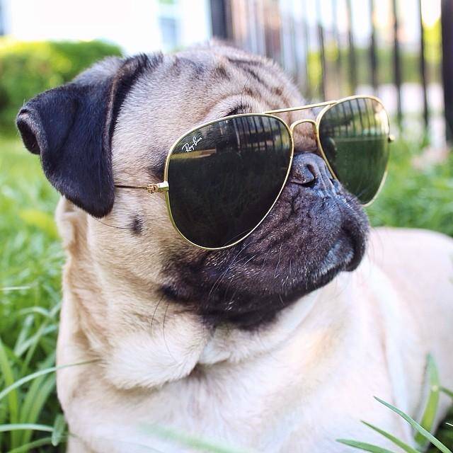 Doug, puggin' out at the end of a long day.