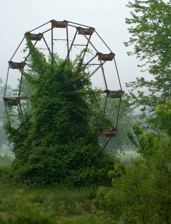 8.) I never did like Ferris Wheels...