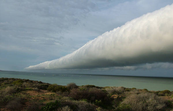 A roll cloud in Texas.