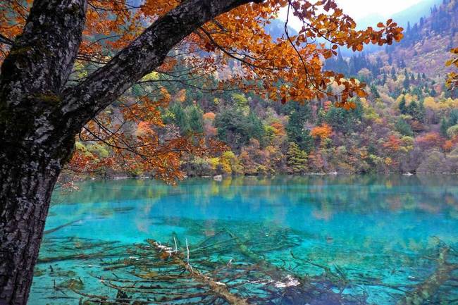 Five-Flower Lake, Jiuzhaigou, Sichuan, China