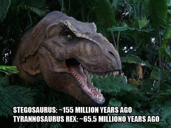 5.) We lived closer to the Tyrannosaurus Rex than the Stegosaurus did: The Jurassic-period Stegosaurus had been extinct for about 80-90 million years before the T-Rex. It has been extinct for only about 65.5 million years.