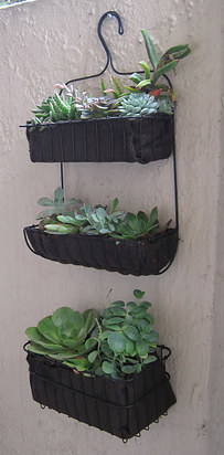 You can use shower caddies to make hanging gardens.