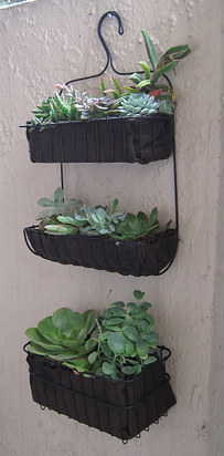 3.) You can use shower caddies to make hanging gardens.