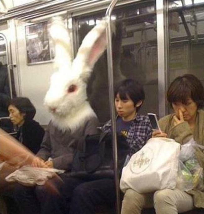 11.) Silly rabbit, trains are for people.