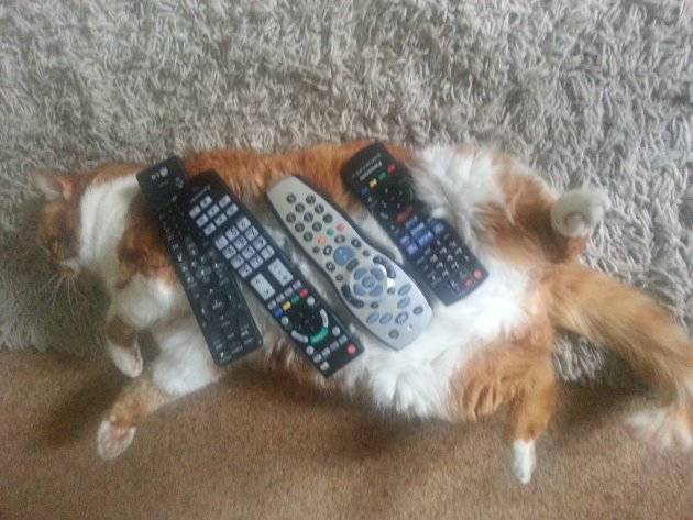 He couldn't figure out which remote goes to what contraption, so he gave up and took a nap.