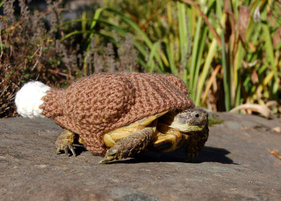 5.) Turkey-Shaped Turtle Cozy