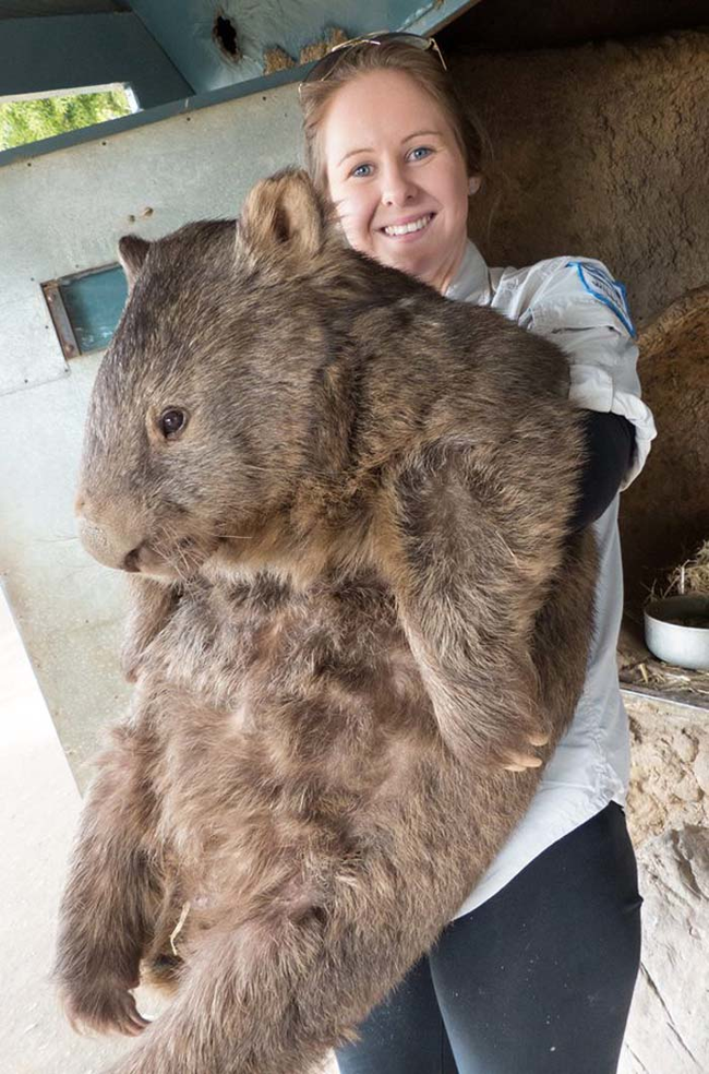 It's easy to see why. Not only is he big and wise, but he's super cuddly, too.