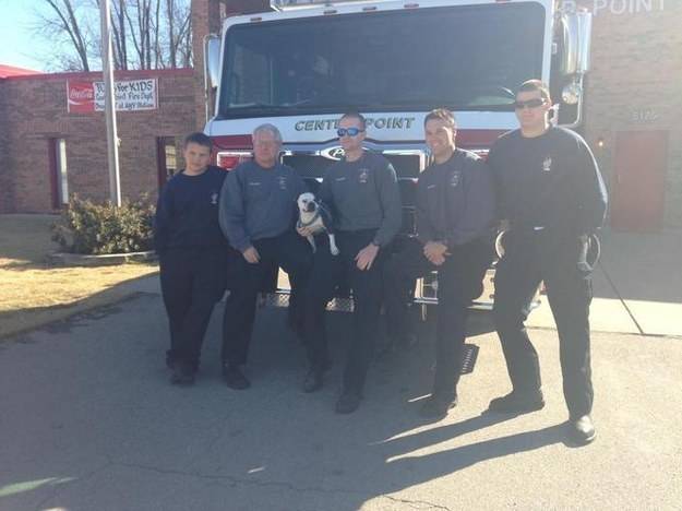 Then he met the local fire department and lived the dream as a firehouse dog.