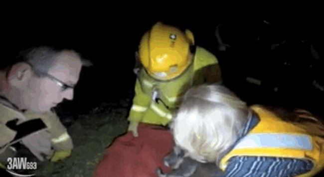 After massaging his lungs in an attempt to start his breathing, the wildlife expert took one for the team while waiting for the oxygen mask to arrive.