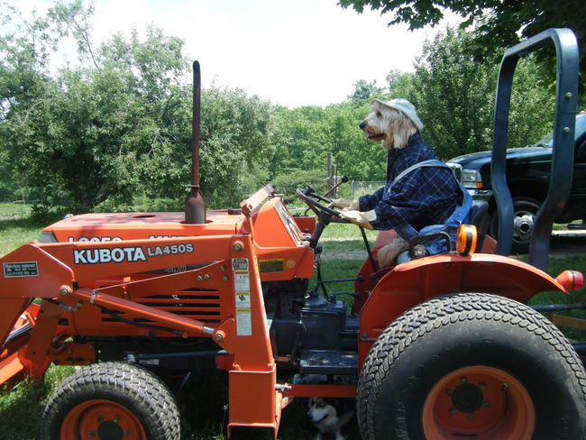 1.) Working on the farm.