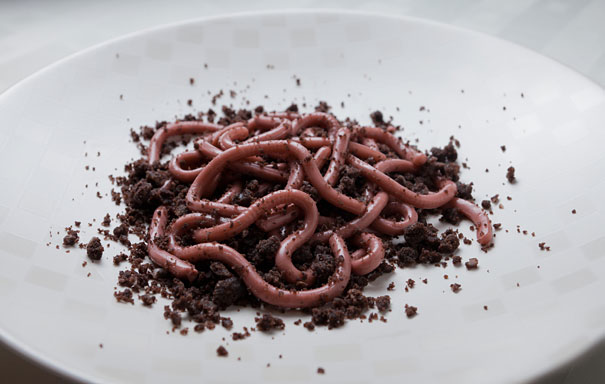 2.) Jello Worms On Chocolate Donut Crumbs