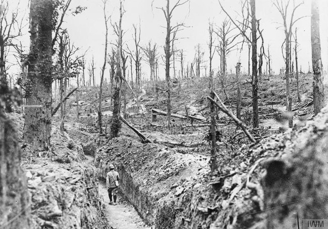 A soldier walks through the devastated landscape after the Battle of the Somme, 1916