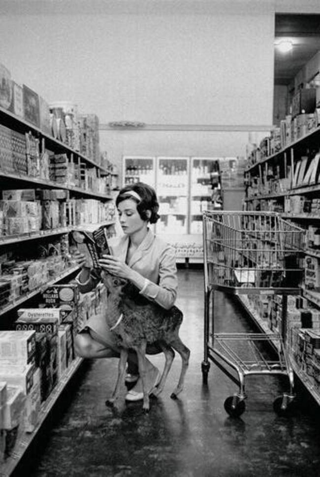 Audrey Hepburn had a pet deer named Ip.