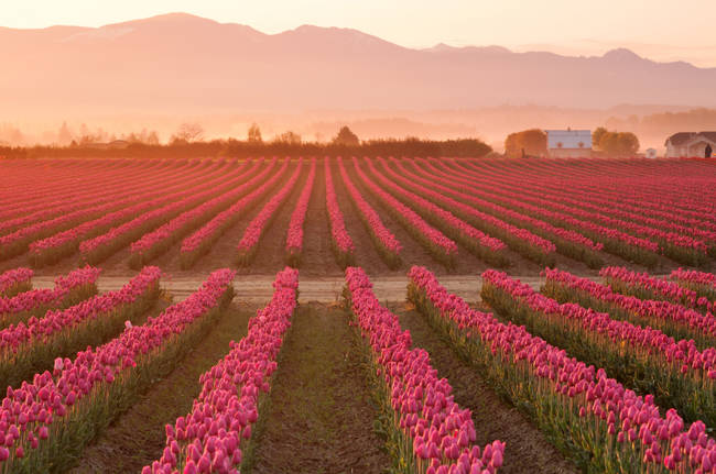 22.) Skagit Valley, Washington