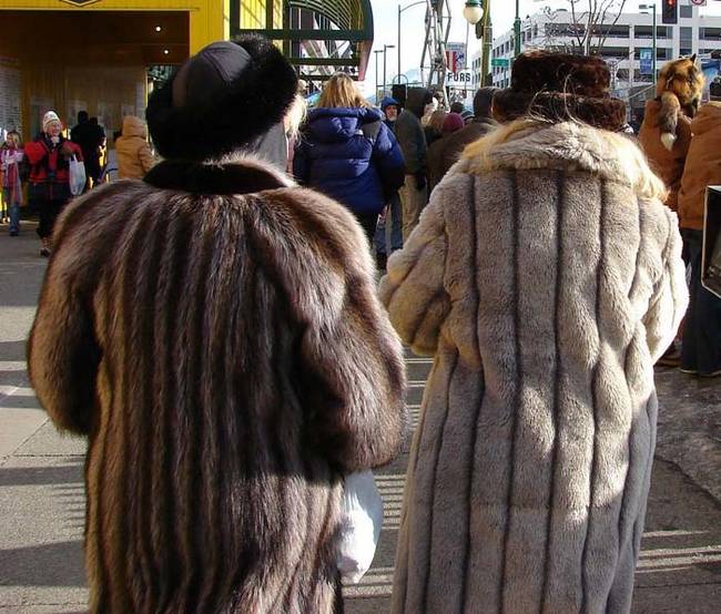 Around the same time, people started to notice the fur coats that one elderly neighbor recently started to wear.