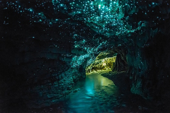 A large population of glow worms produce the dazzling green-blue ambience.