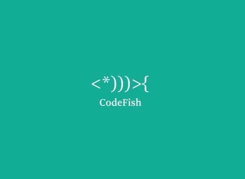 37. CodeFish.