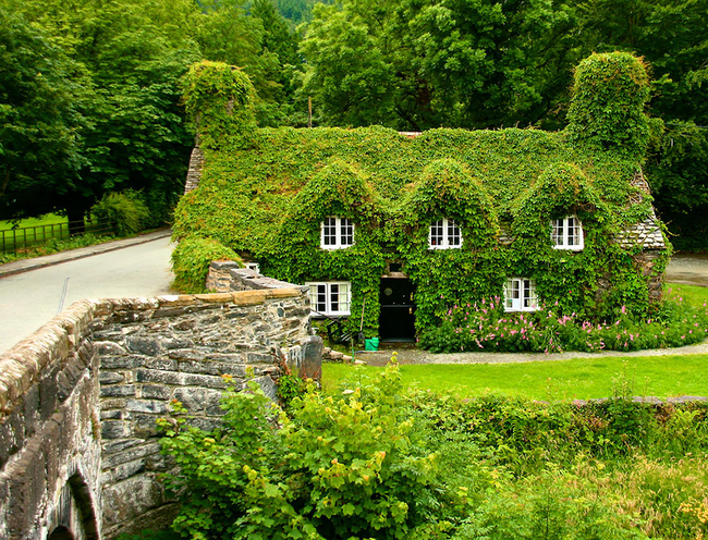 Tu Hwnt I’r Bont Tearoom - Llanrwst, North Wales.