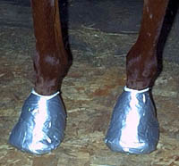 Horse Booties