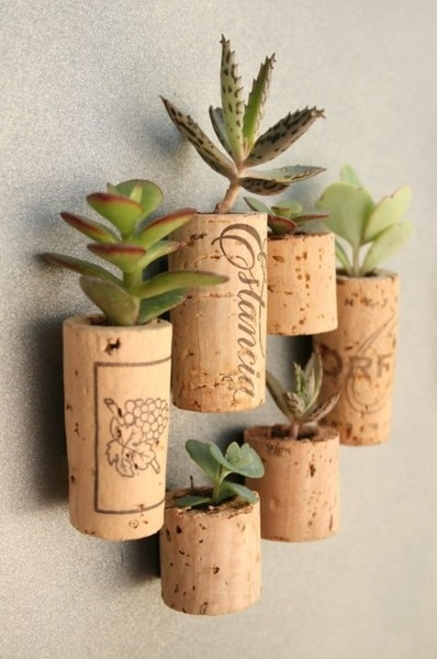 1.) Use all of those corks you have lying around after last week's Winesday and Winethursday--oh, and Winesunday--to make tiny plant pots.