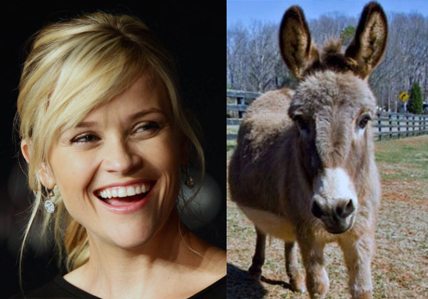 3.) Reese Witherspoon has a pet donkey.