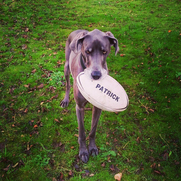 "What do you mean football isn't rugby?"