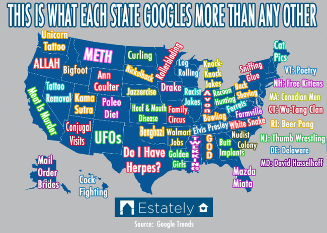 8.) What each state searches for on Google.