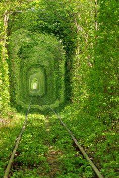 The greenest railway I've ever seen.