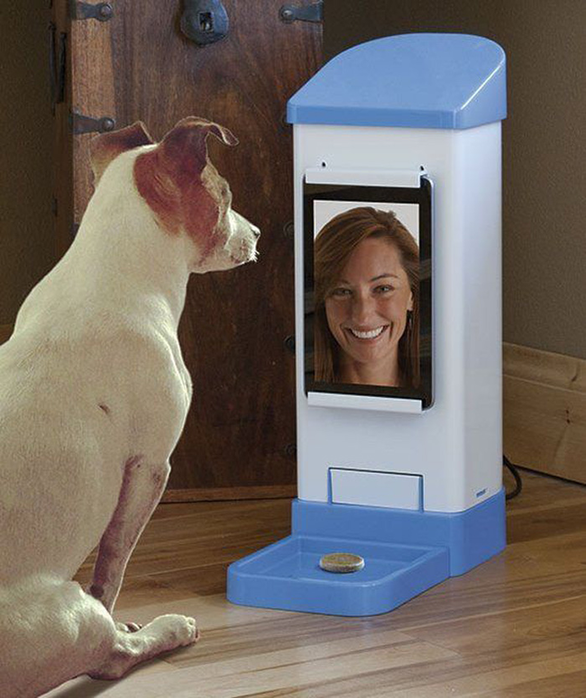 20.) Pet Video Chat