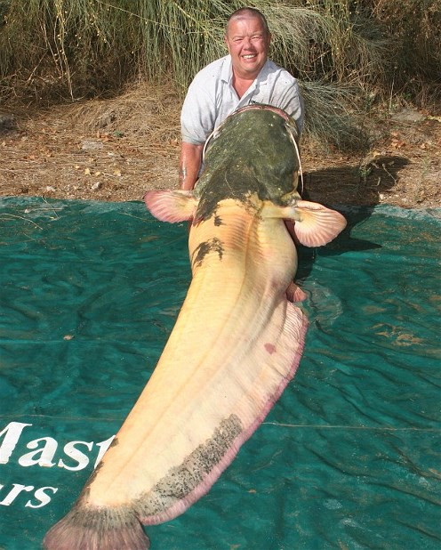 17.) A giant albino catfish.