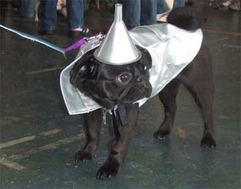 13.) Tin Pug, from the Wizard of Oz