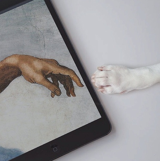 The Creation of Jimmy.