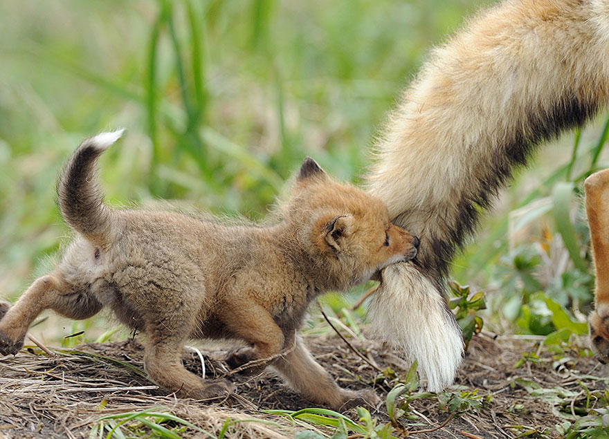 5.) “Come on dad let’s play!”