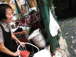 You can buy food from the locals to feed the fish.