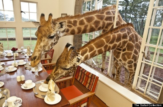 8.) Giraffe Manor - Kenya